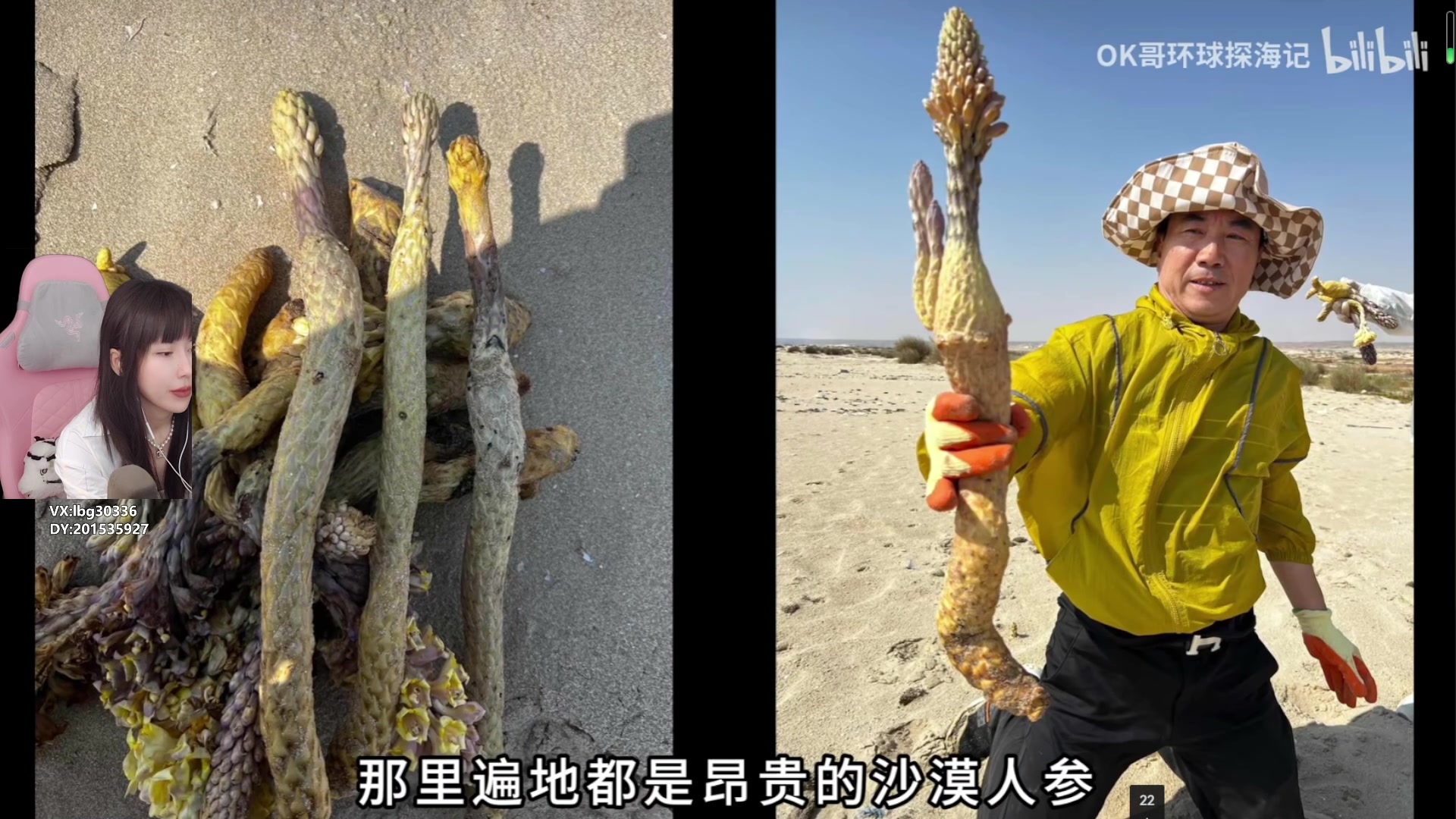 【2024-01-12 13点场】十三三三：⭐又是元气不太满的一天