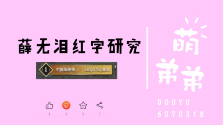 薛无泪红字研究