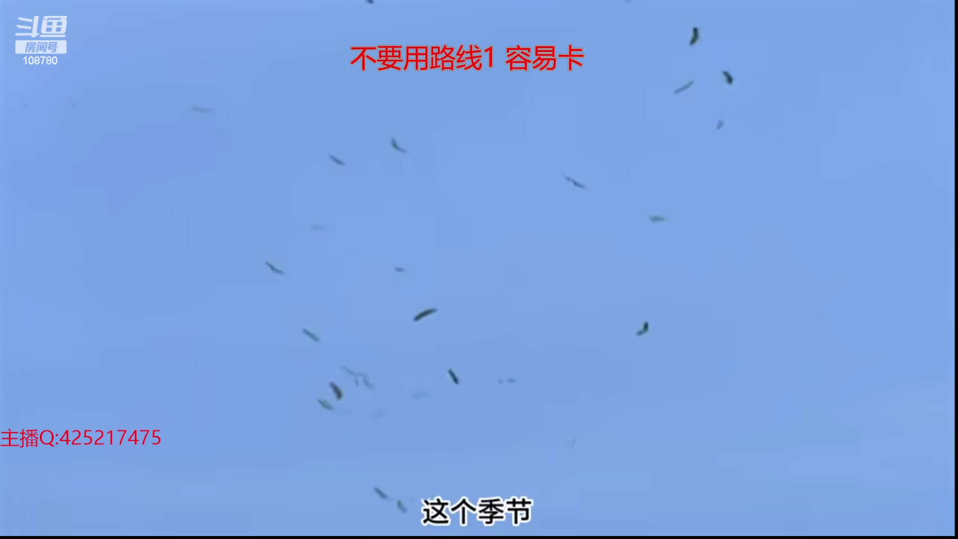 【2024-01-13 05点场】兮饭锐雯：乱斗狂少归来