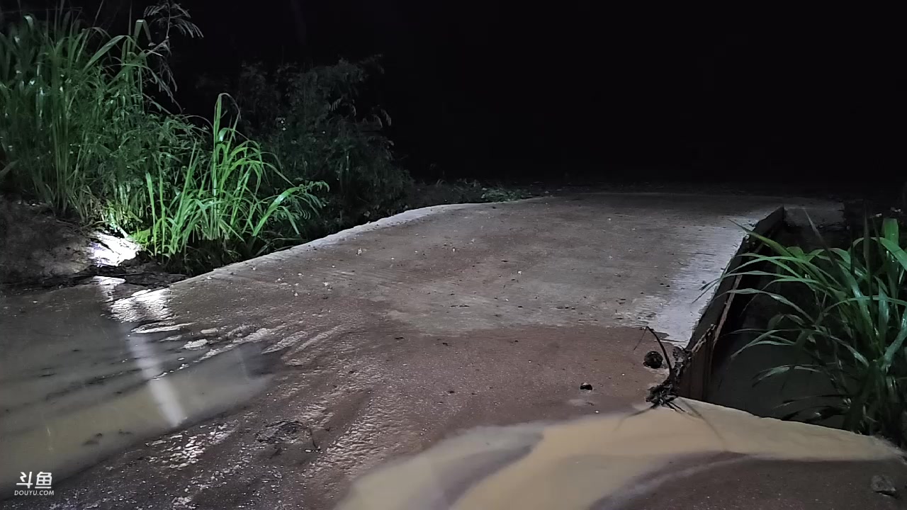 【2024-01-08 22点场】叶子户外：《纪实直播》斯里兰卡day35