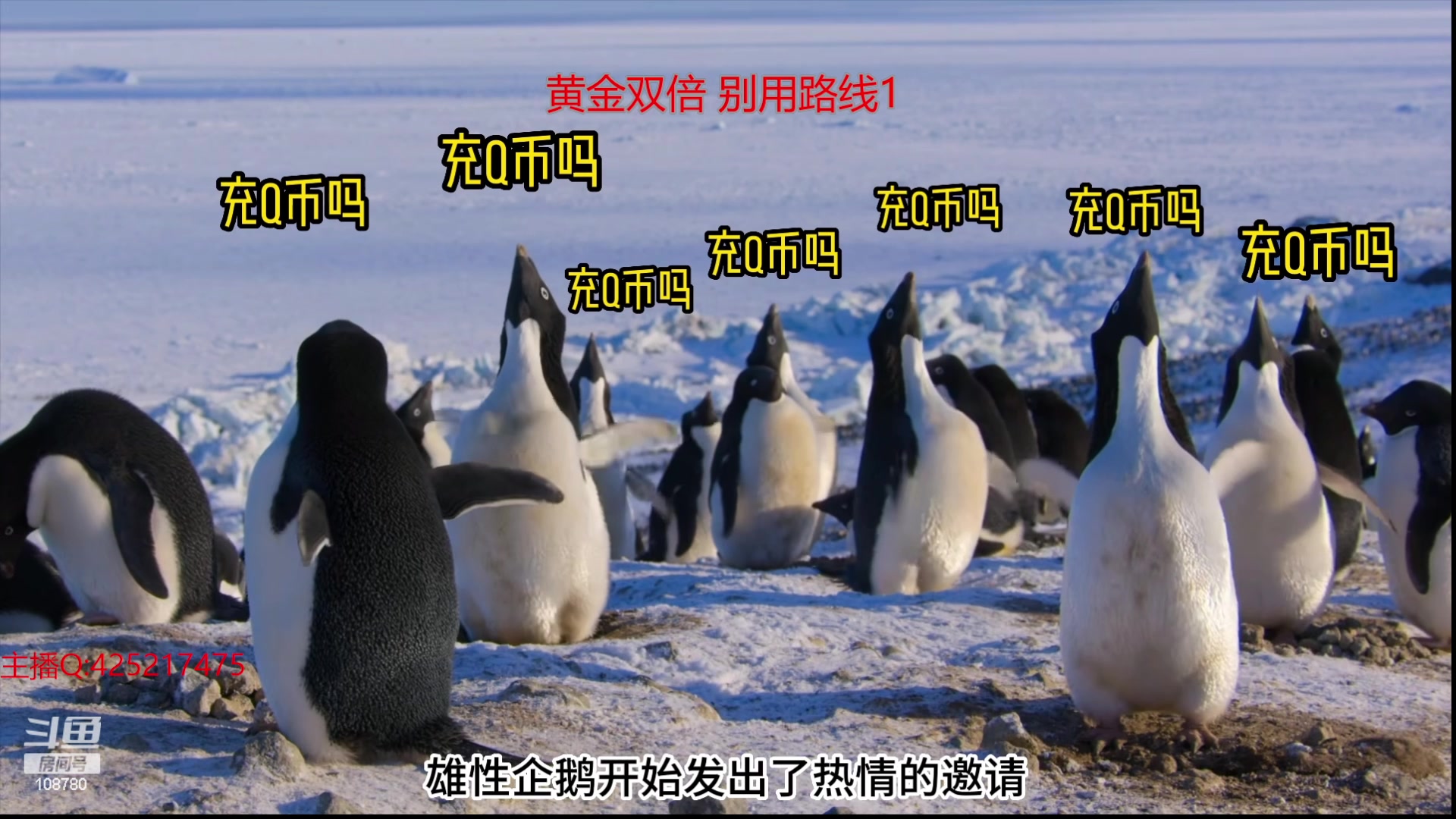 【2024-01-14 07点场】兮饭锐雯：乱斗狂少归来