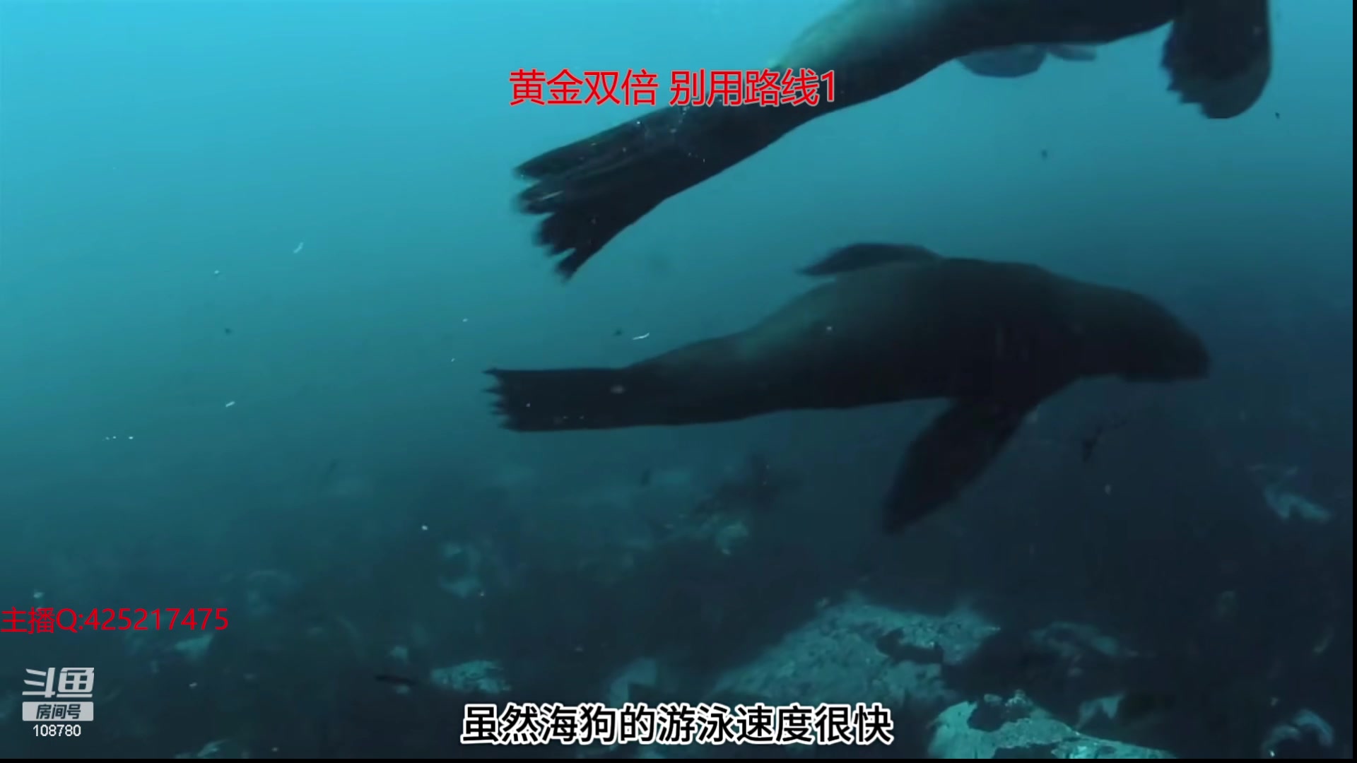 【2024-01-14 05点场】兮饭锐雯：乱斗狂少归来