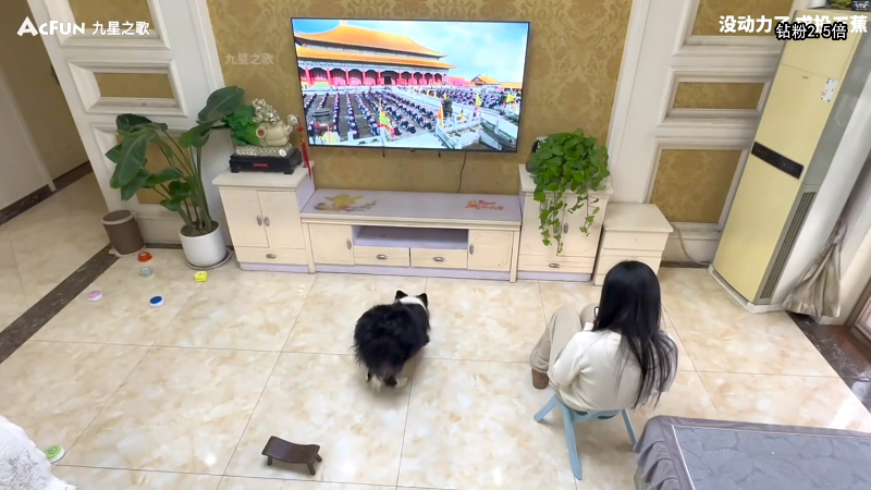 【主机其他游戏】狐狸不太Sao的精彩时刻 20240114 10点场