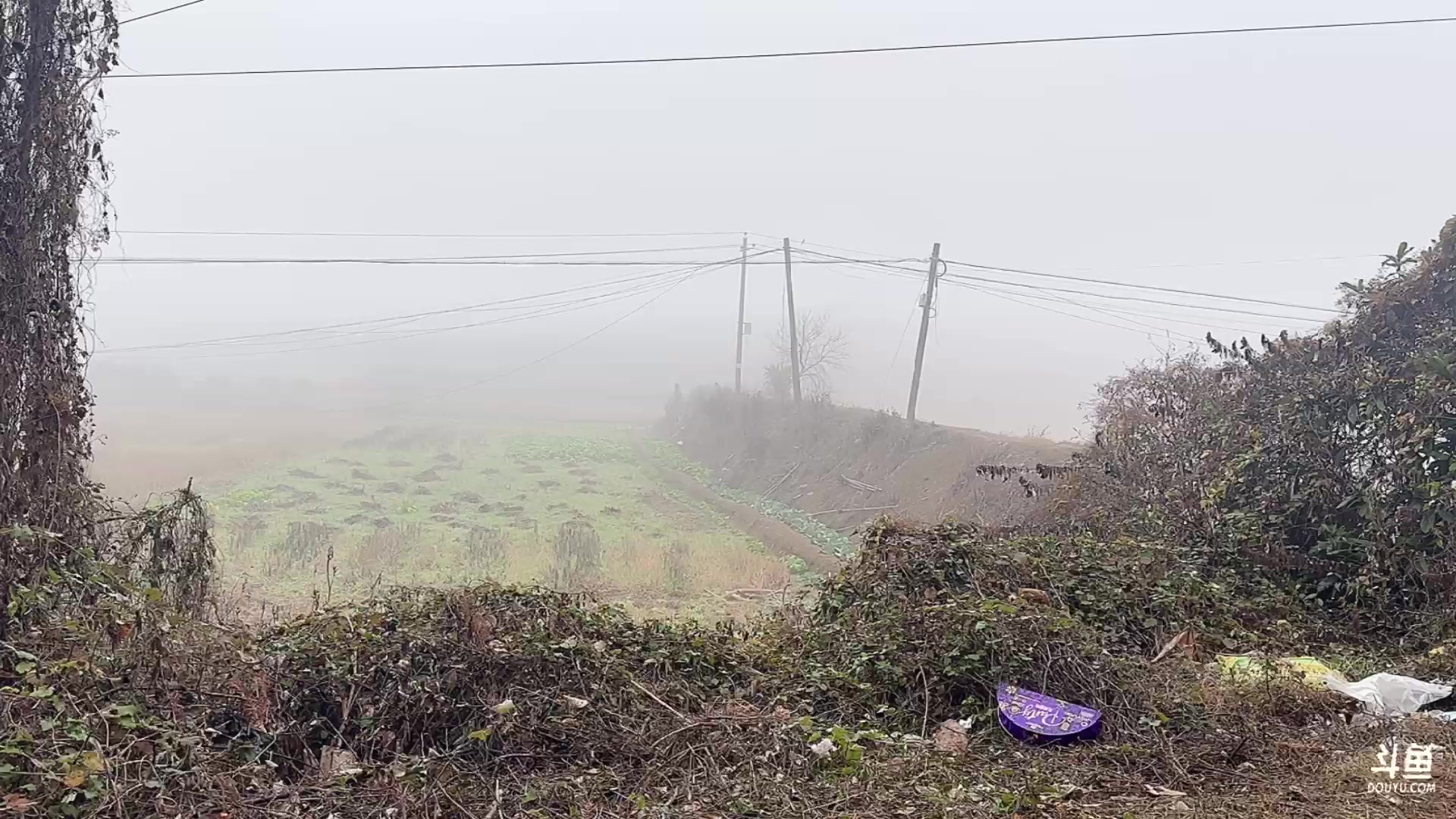 【2024-01-12 09点场】灰灰酱er：灰灰：day2