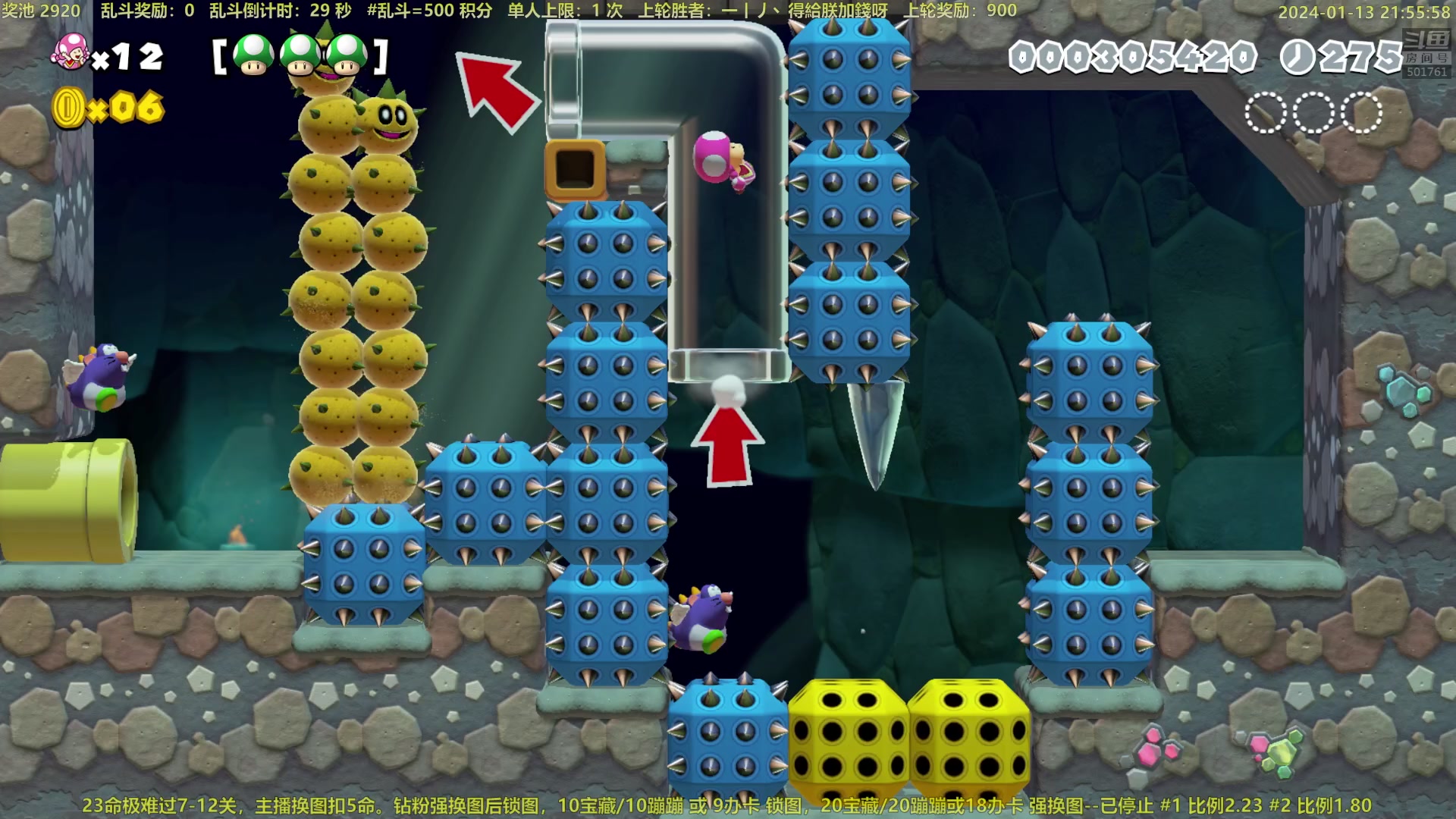 【2024-01-13 21点场】白白的胖胖呀：⭐️白胖白胖 充满希望⭐️