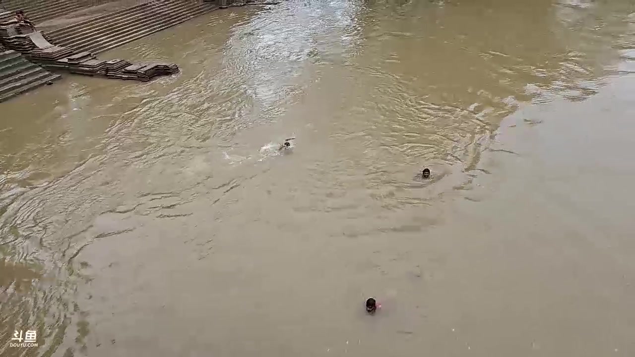 【2024-01-08 18点场】叶子户外：《纪实直播》斯里兰卡day35