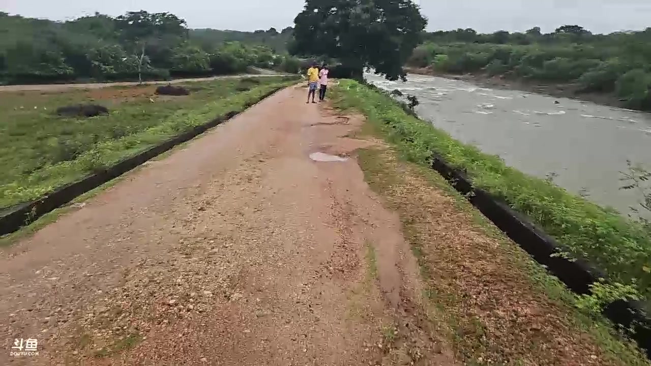 【2024-01-08 16点场】叶子户外：《纪实直播》斯里兰卡day35