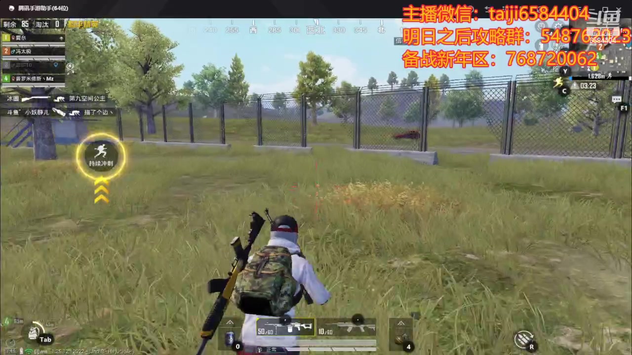 【2024-01-15 22点场】中华田园冯太极：备战2月17新年区，诡楼20个钻石刮痧