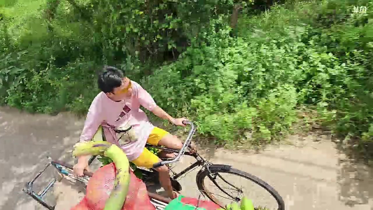 【2024-01-13 16点场】叶子户外：《纪实直播》斯里兰卡day35