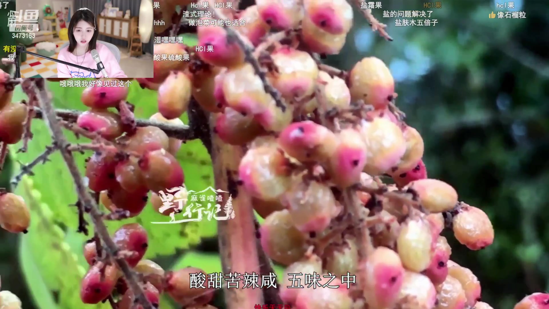 【2024-01-18 22点场】胡嘉一：快乐小胡来咯