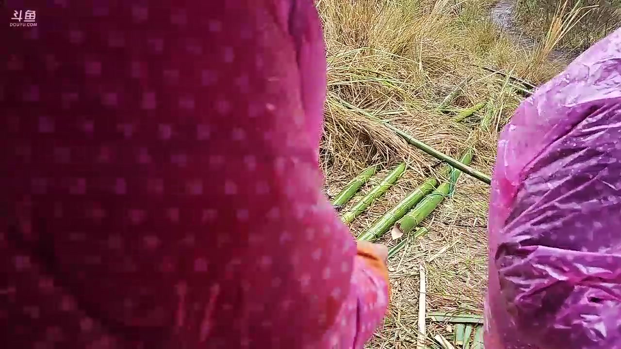 【2024-01-21 16点场】火力堂主：上山了！！