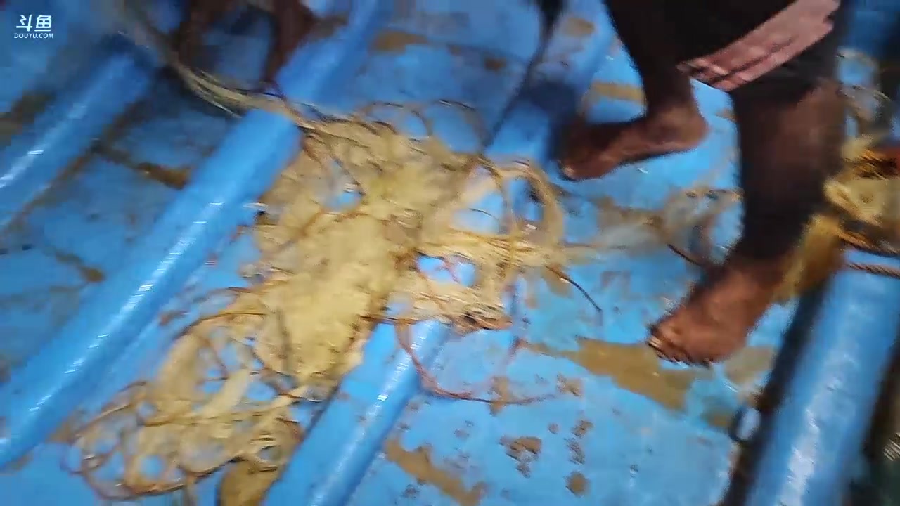 【2024-01-15 23点场】叶子户外：《纪实直播》斯里兰卡day35