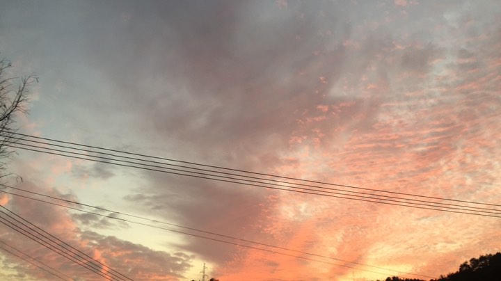 【2024-1-22 8点场】乔一o刂:乔一o刂  玩的开心