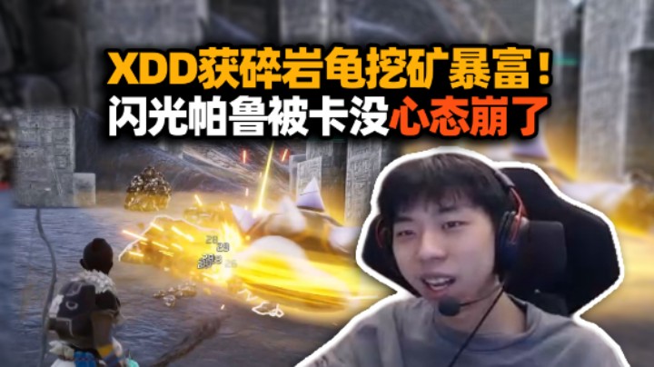 XDD玩幻兽帕鲁获挖矿神兽碎岩龟 抓天羽龙被猪鼻帕鲁连打带补 再遇闪光被卡没心态崩了！