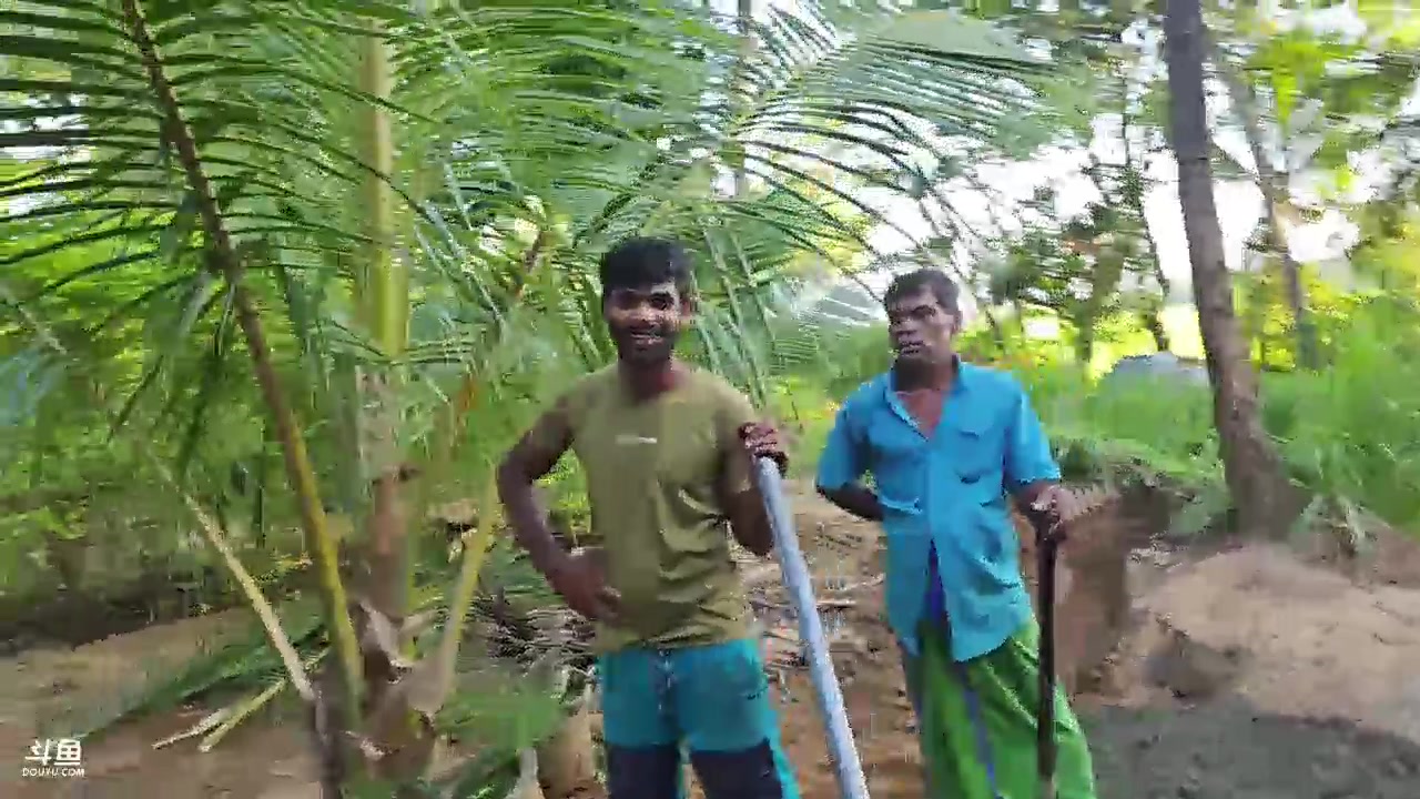 【2024-01-17 19点场】叶子户外：《纪实直播》斯里兰卡day35