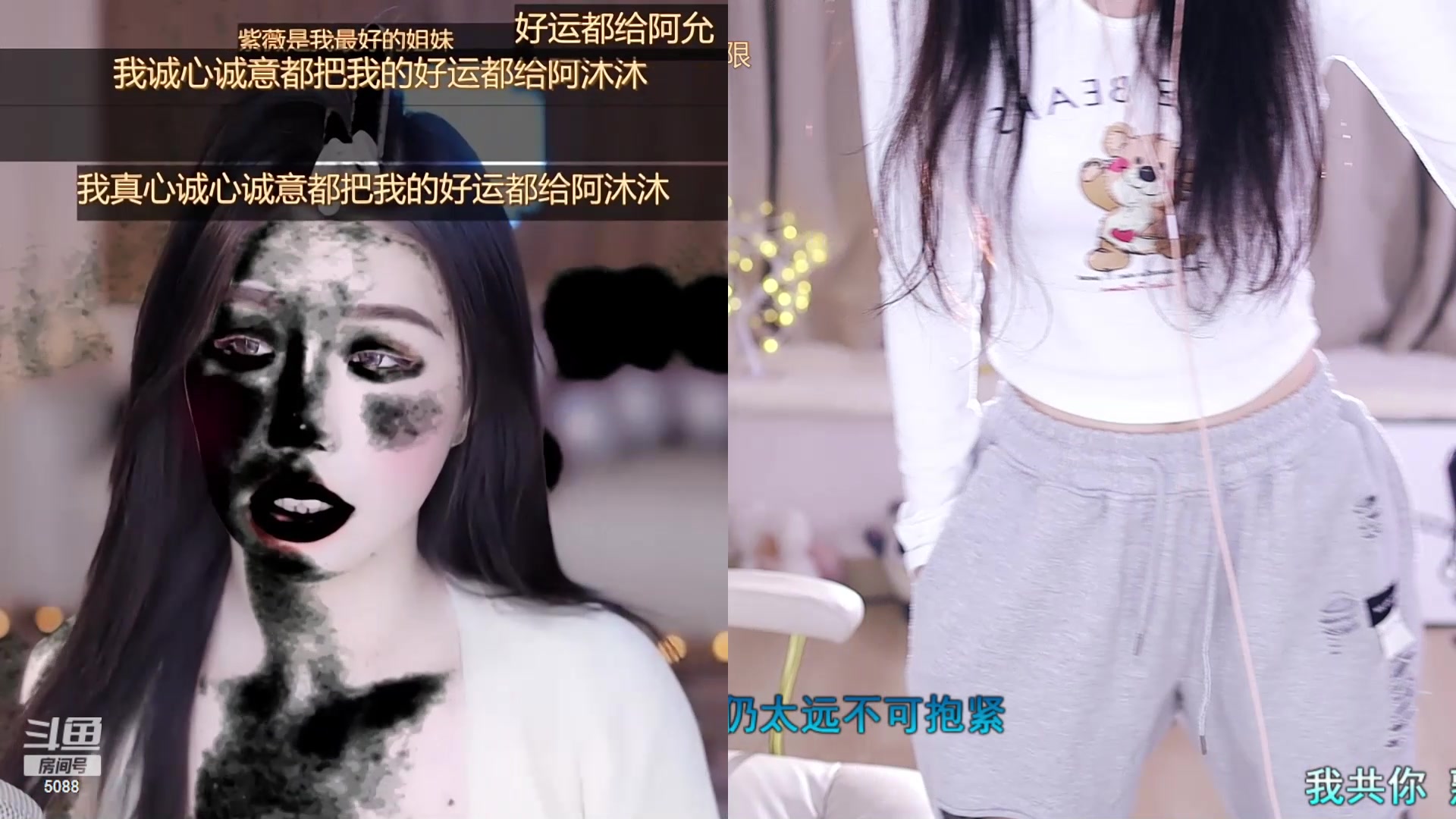 【2024-01-23 16点场】晒网的慧儿呀：小狗今天回来上班啦~