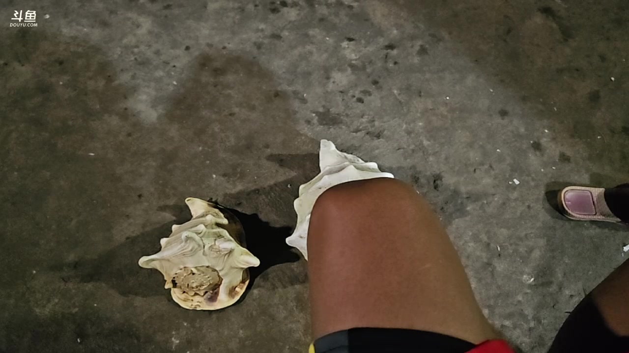 【2024-01-21 21点场】叶子户外：《纪实直播》斯里兰卡day35