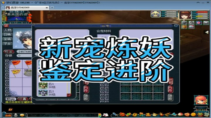 梦幻西游新宠炼妖鉴定进阶