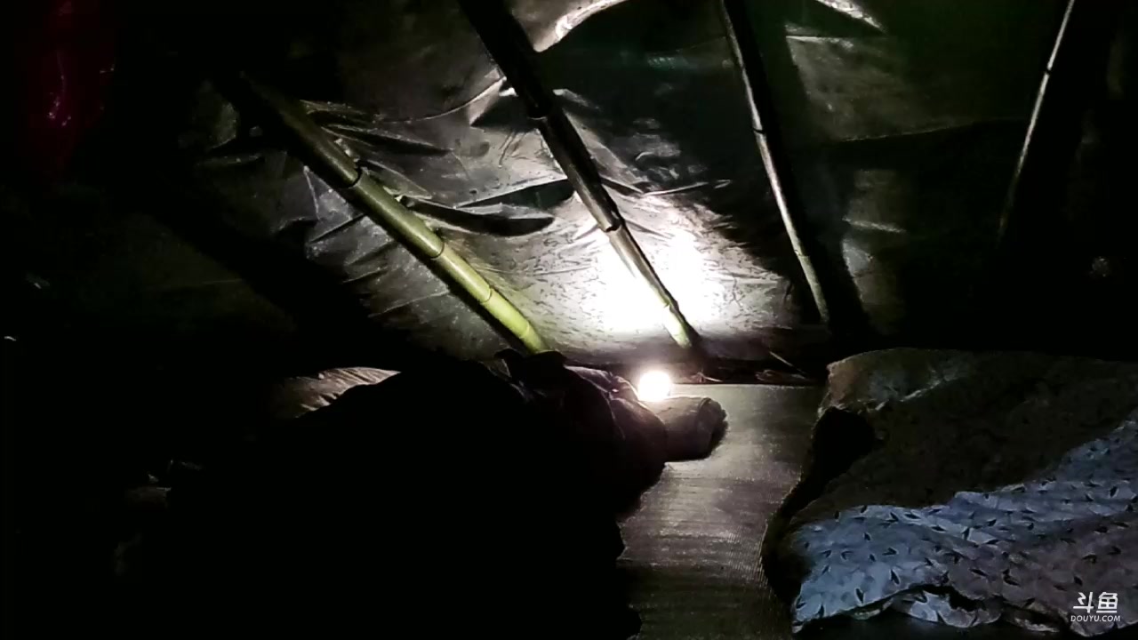 【2024-01-25 01点场】火力堂主：上山了day5！！