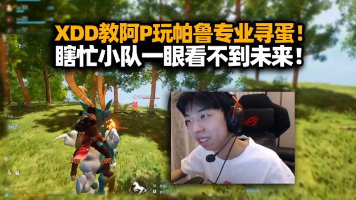 XDD带阿P玩幻兽帕鲁 P神专业寻蛋低血压必备！抽象小队玩的晕头转向根本看不到未来！
