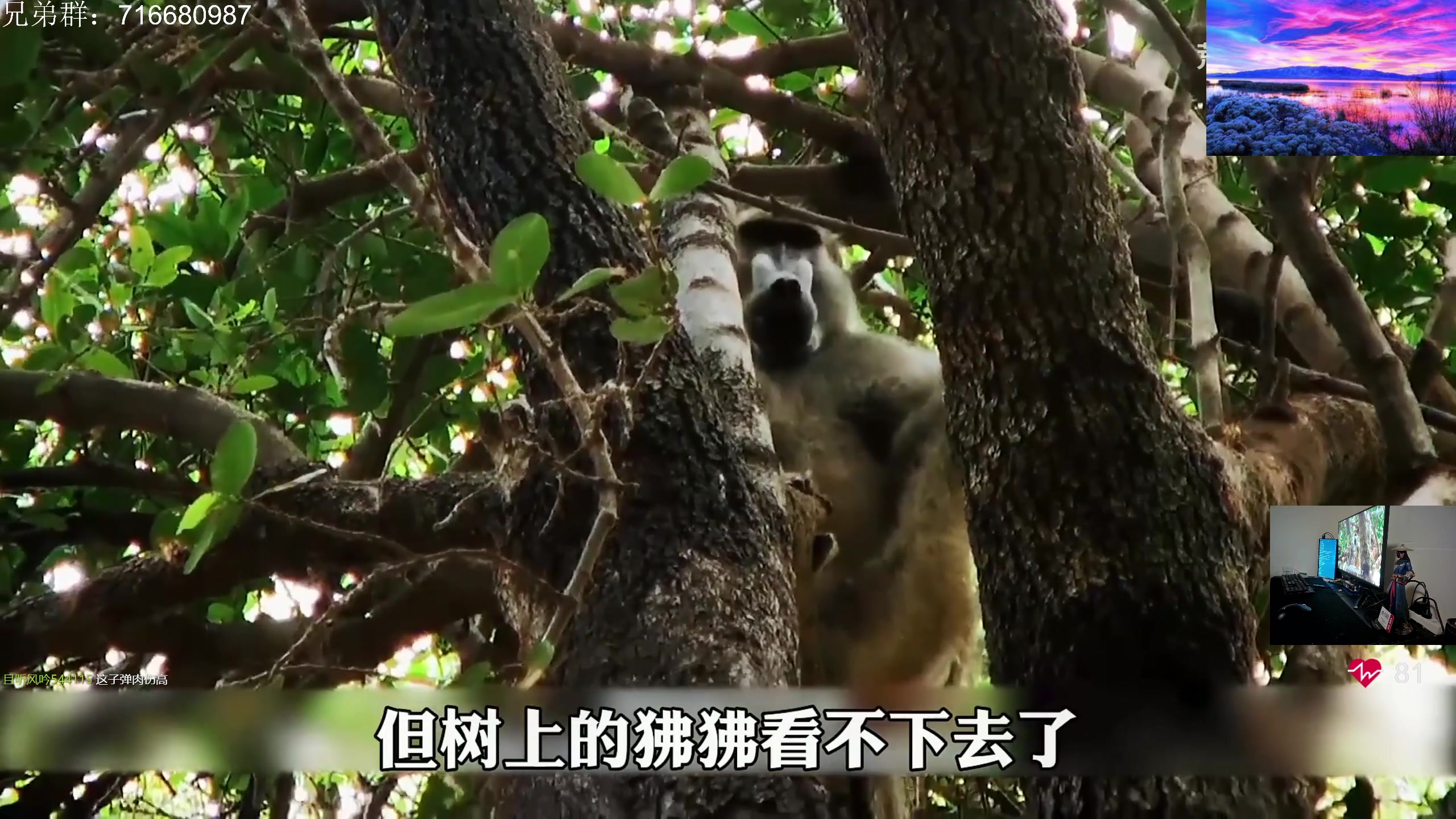 【2024-01-26 02点场】陈浩南丶ABS：最硬核的射击游戏！