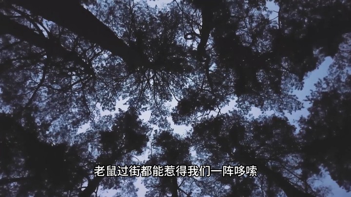 灵异直播！废弃医院探灵的恐怖遭遇，藏尸鬼打墙事件！