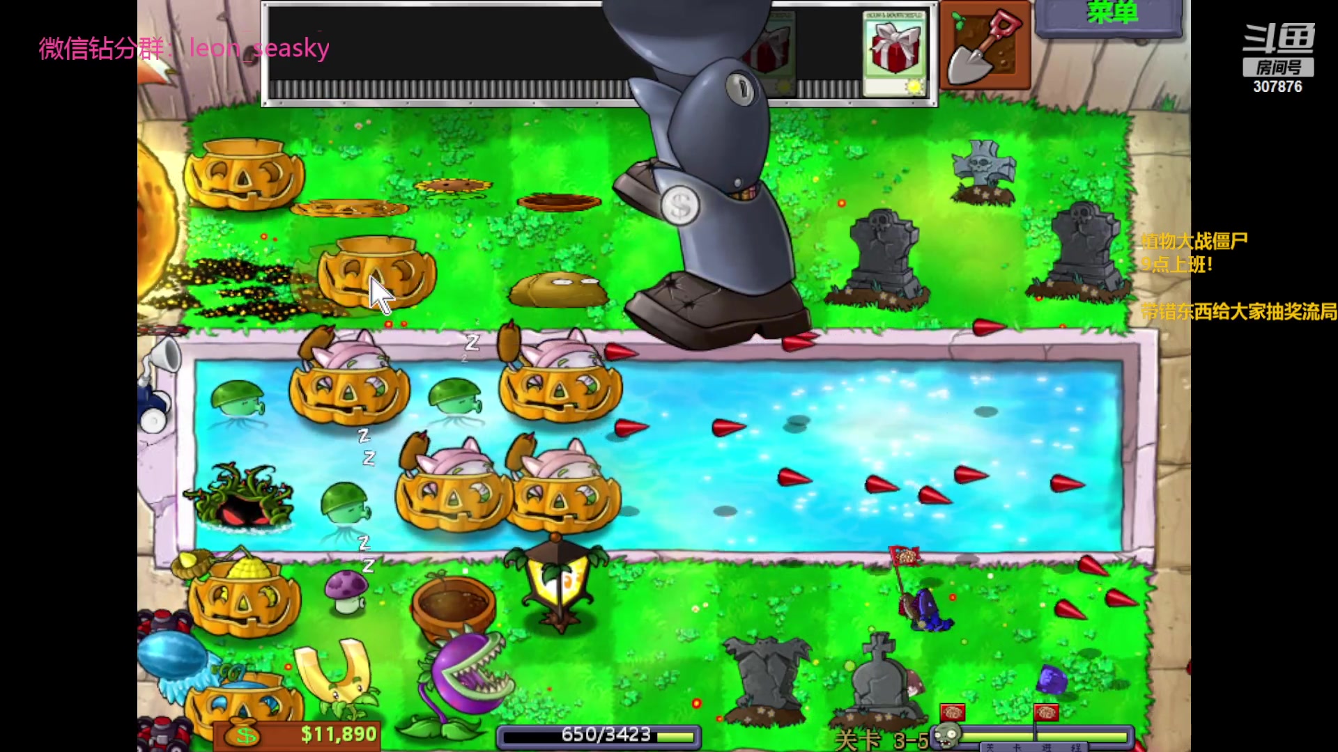 【2024-01-26 19点场】夏一可死毒舌_：喵：我不是软柿子！