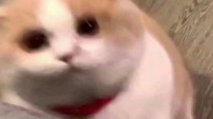 【2024-1-26 21点场】猫瞳ya:【慵懒少女音】尊嘟假嘟❤