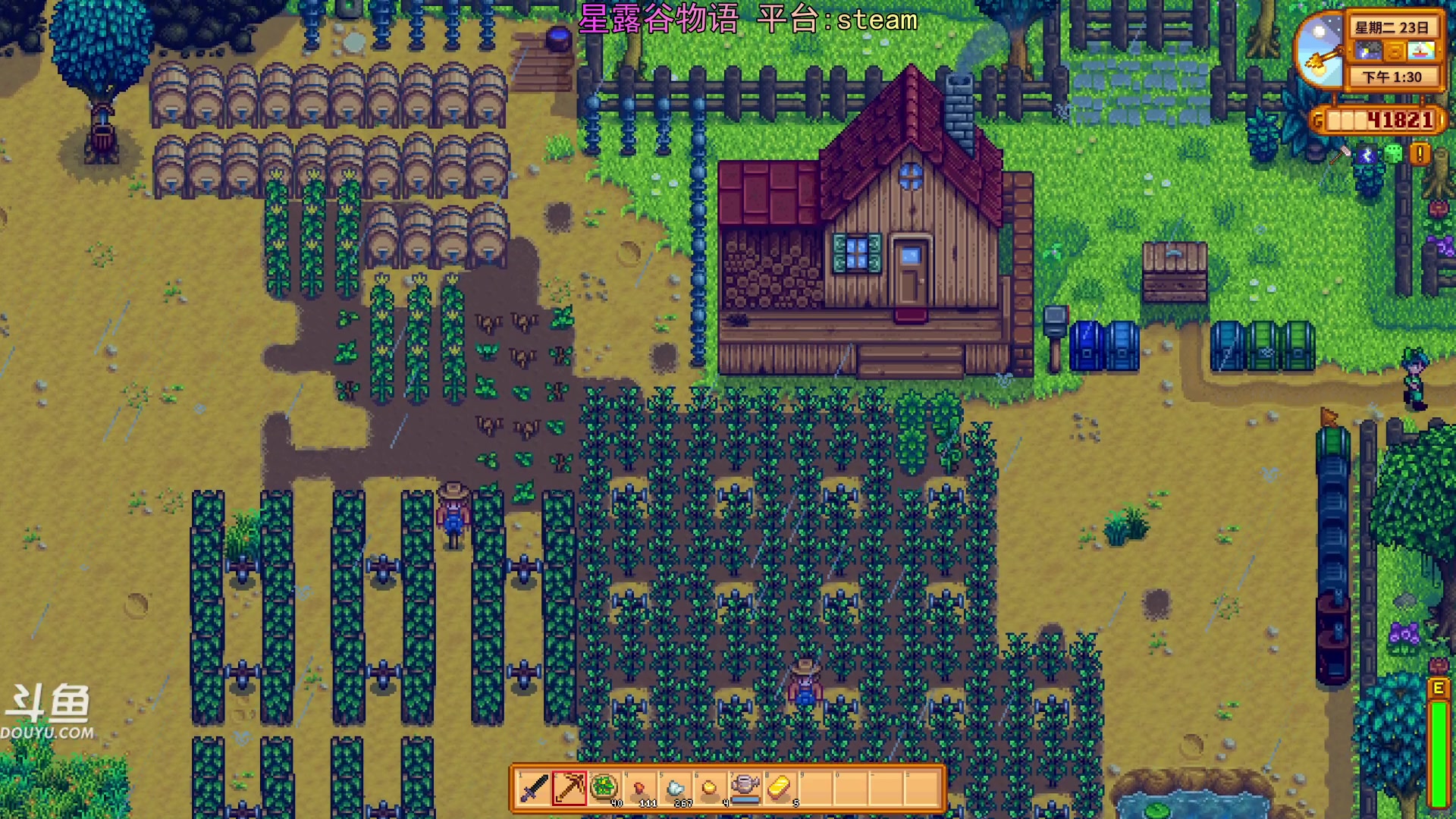 【2024-01-26 22点场】荣耀洋洋：【洋洋】小众，独立，单机游戏！