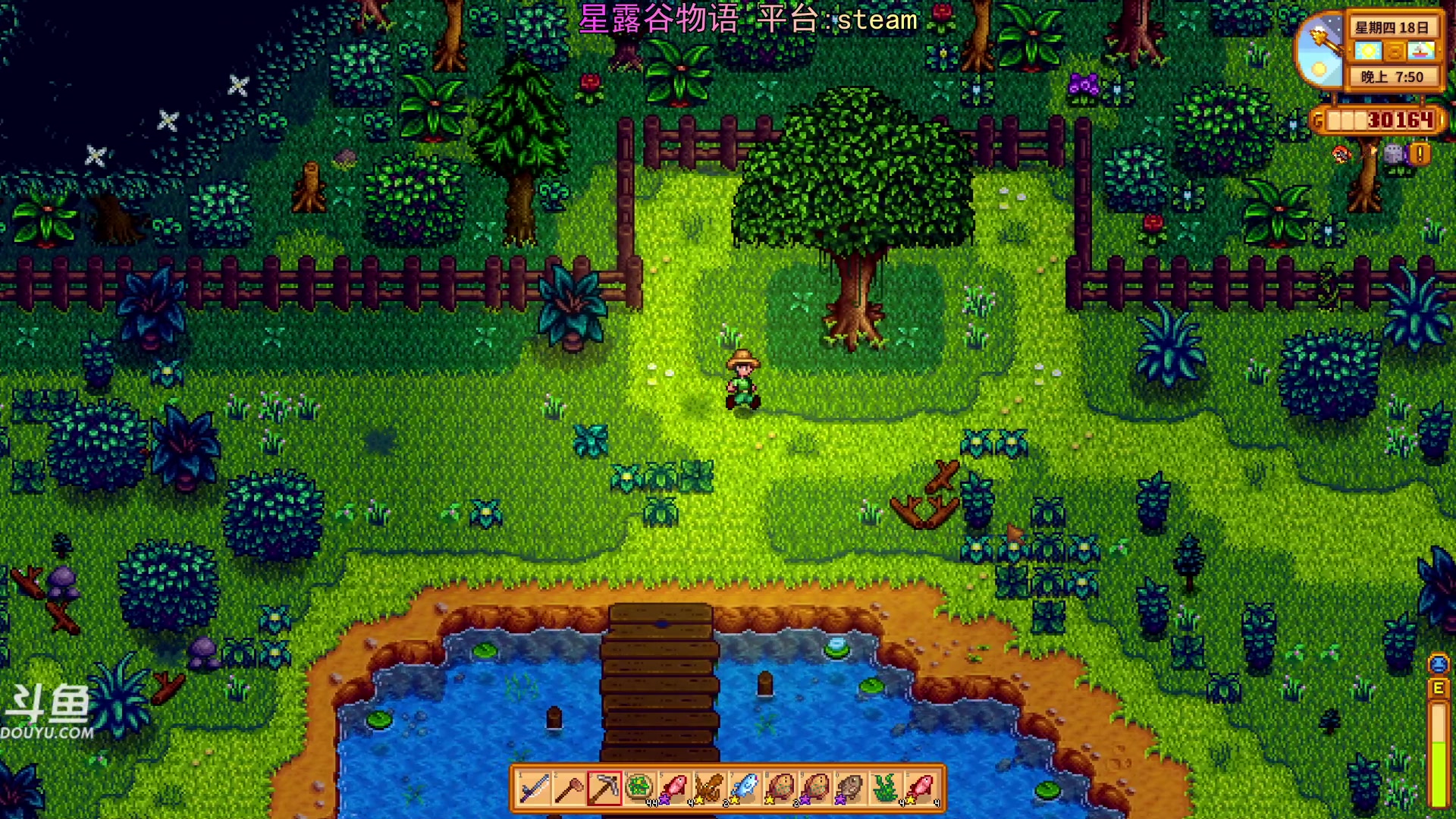 【2024-01-26 20点场】荣耀洋洋：【洋洋】小众，独立，单机游戏！