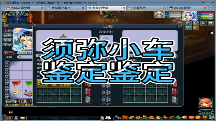 梦幻西游须弥小车鉴定坚定