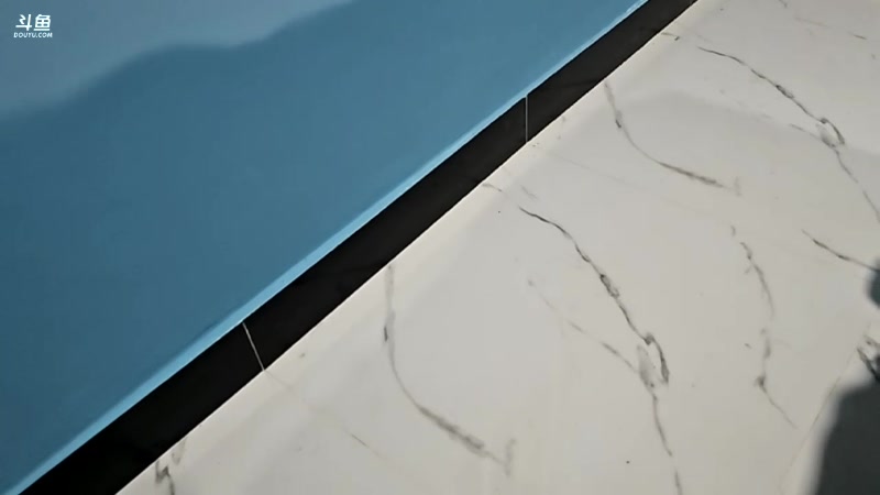 【2024-01-24 01点场】叶子户外：《纪实直播》斯里兰卡day35