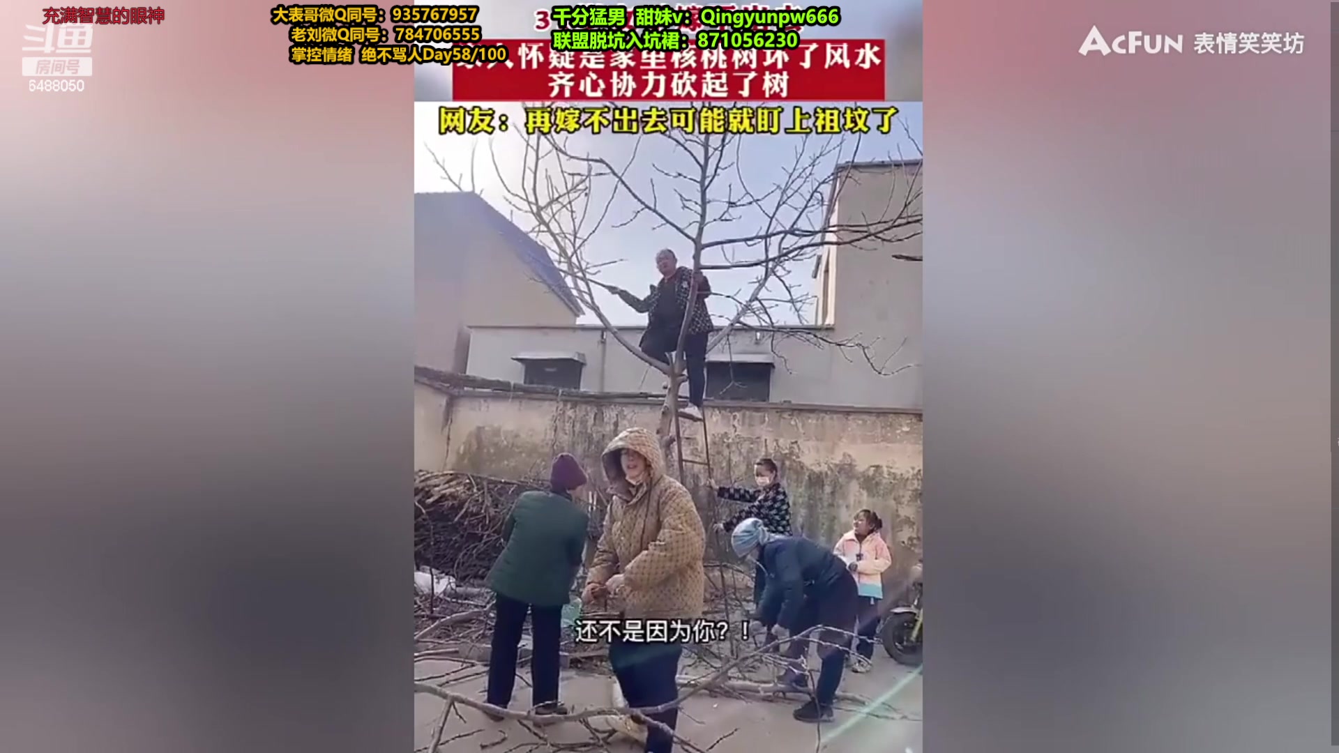 【2024-01-29 18点场】旋转的老刘诺手：新版刺客诺手 R两千真伤！