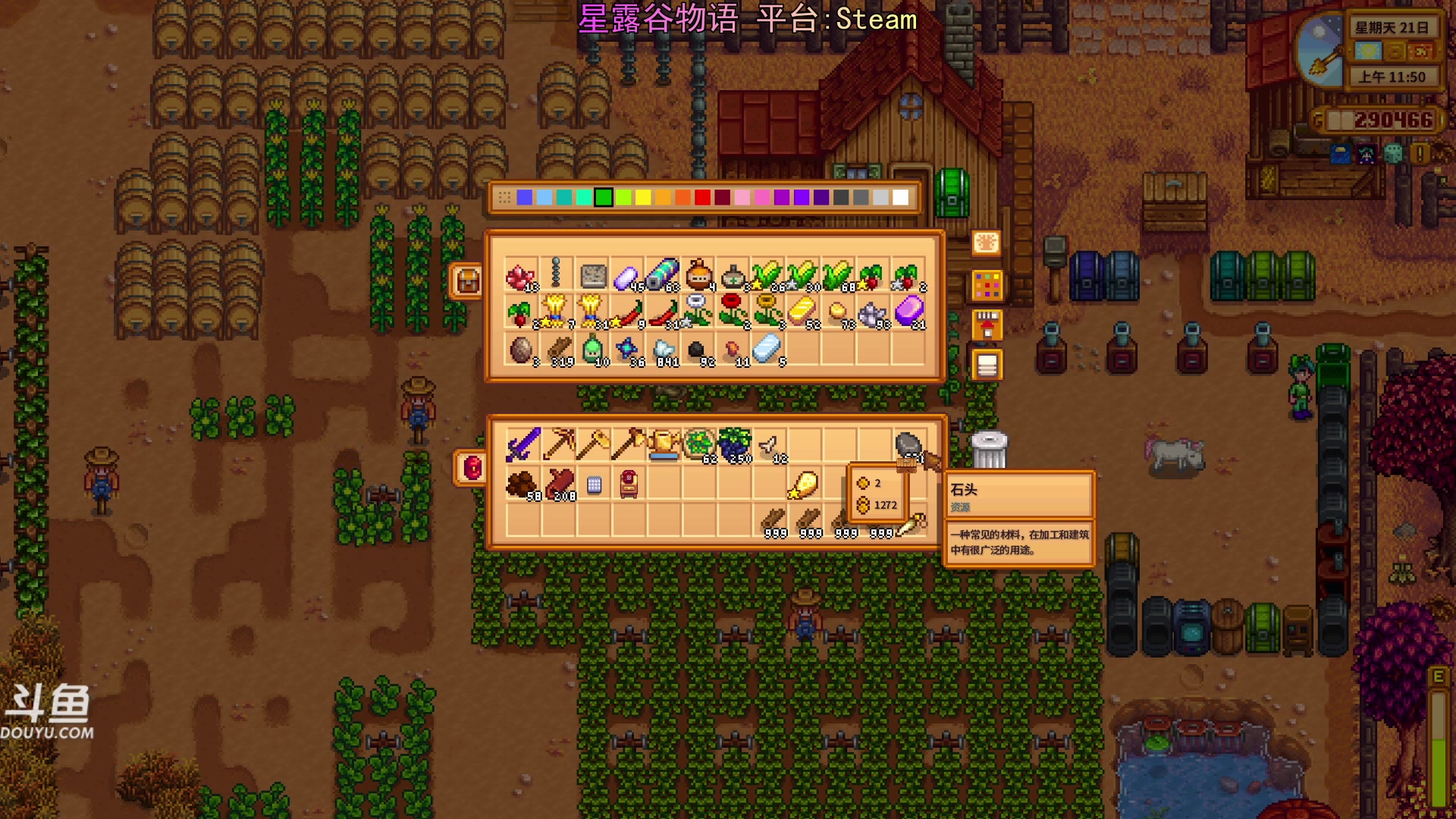 【2024-01-28 23点场】荣耀洋洋：【洋洋】小众，独立，单机游戏！