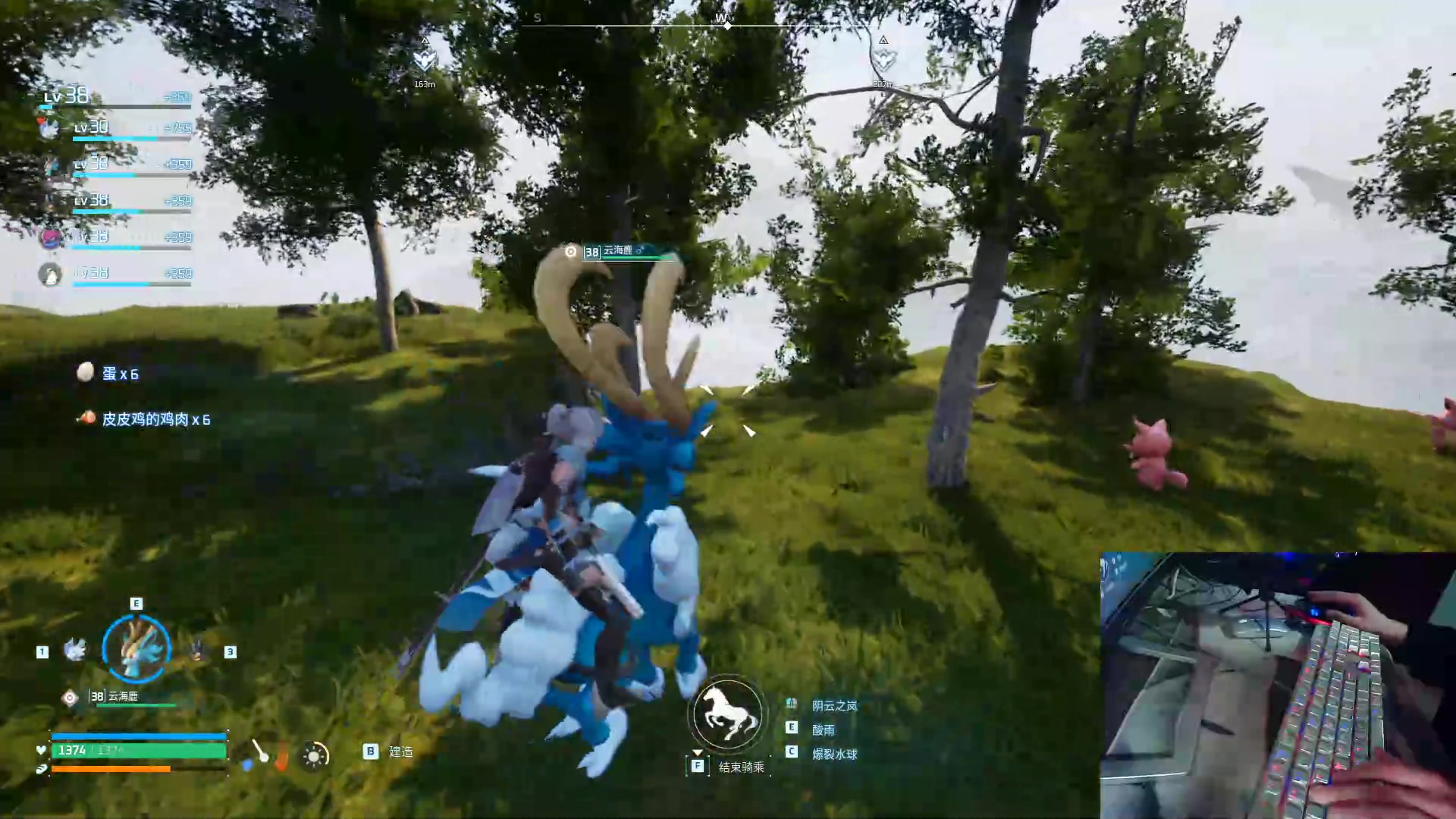 【2024-01-30 03点场】耿枫QUQ：可帮打 带粉有位 国一飞机～