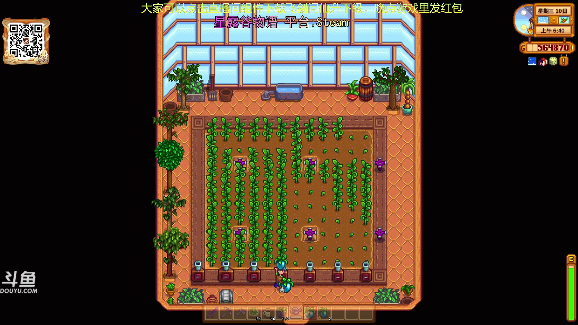 【2024-01-30 19点场】荣耀洋洋：【洋洋】小众，独立，单机游戏！