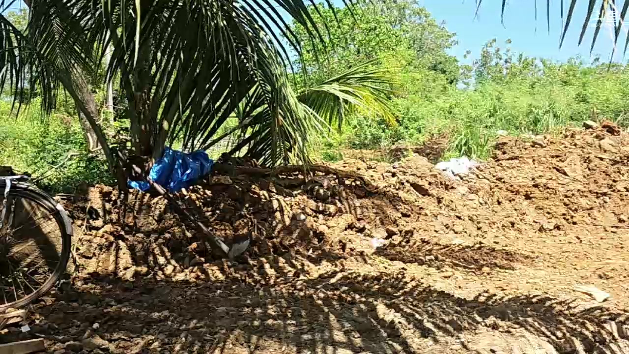 【2024-01-25 14点场】叶子户外：《纪实直播》斯里兰卡day35