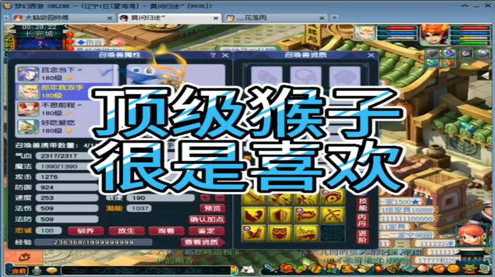梦幻西游顶级猴子很是喜欢