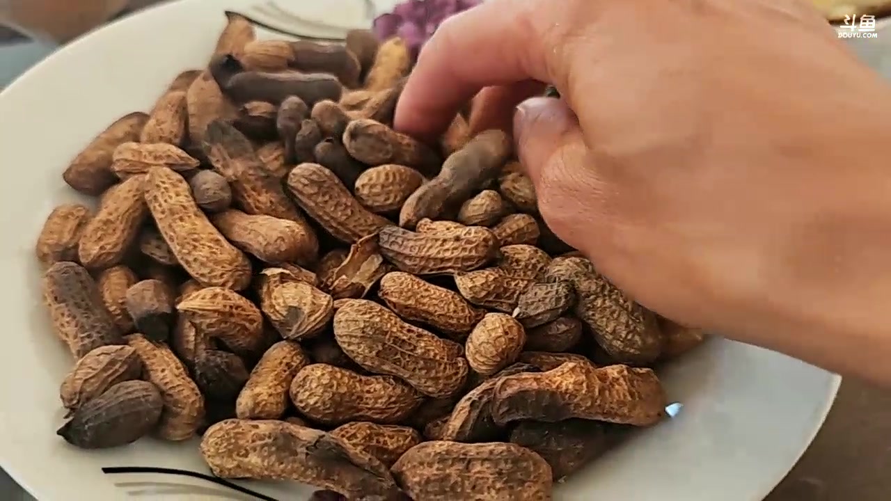 【2024-01-25 12点场】叶子户外：《纪实直播》斯里兰卡day35