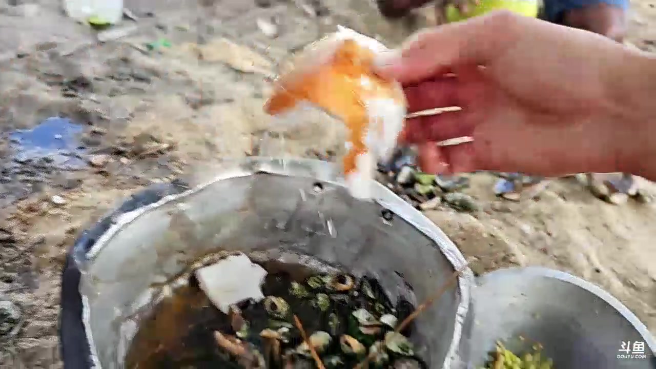 【2024-01-26 13点场】叶子户外：《纪实直播》斯里兰卡day35