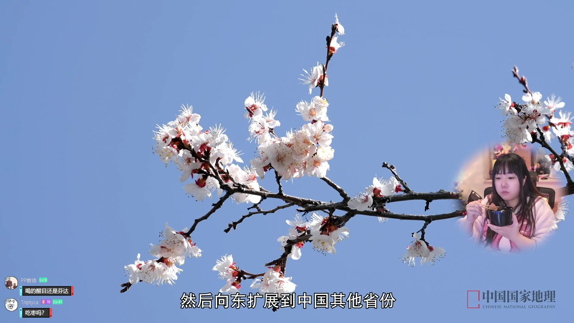 【2024-02-01 19点场】甜心战士：吃吃看看美滋滋~