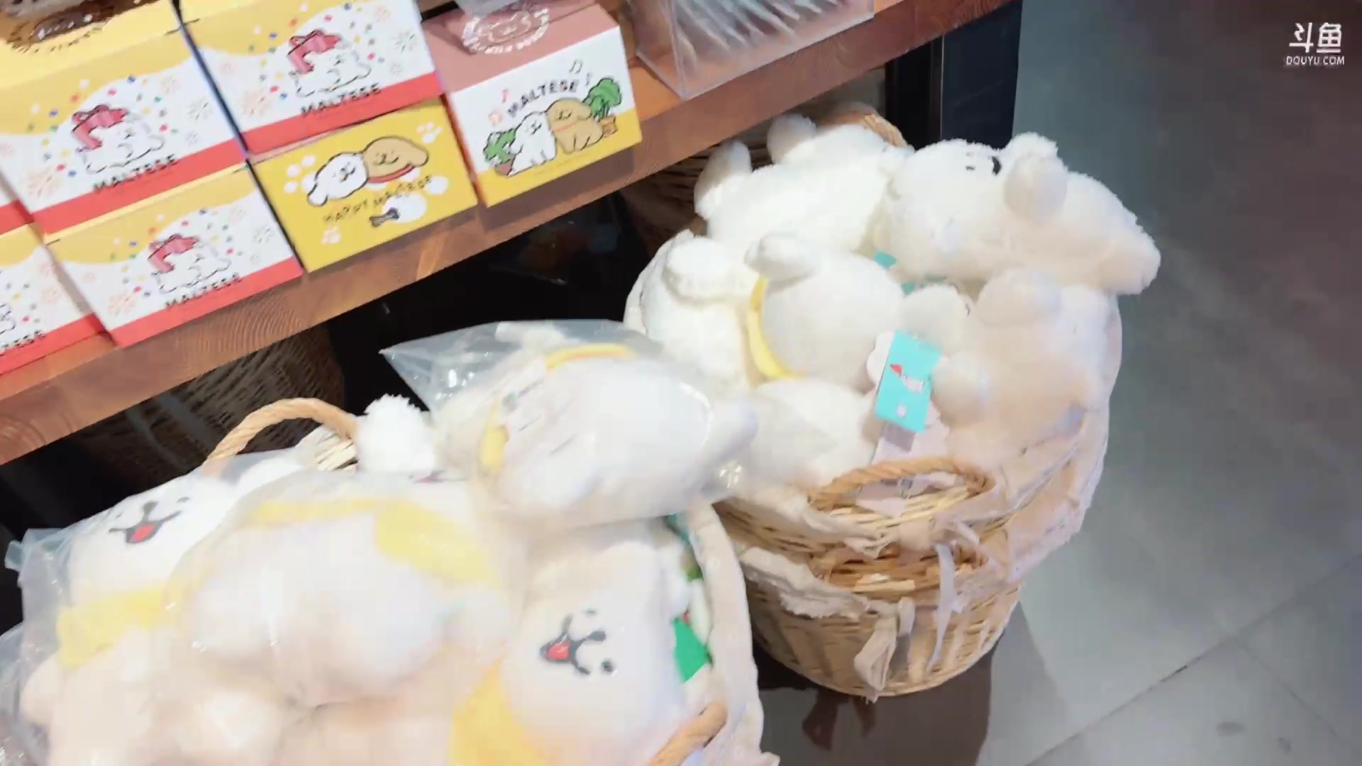 【2024-02-01 15点场】冲酱ccc：化悲愤为食欲