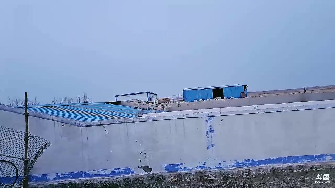 【2024-02-02 18点场】别问问就黑皮：牧区下午4点播