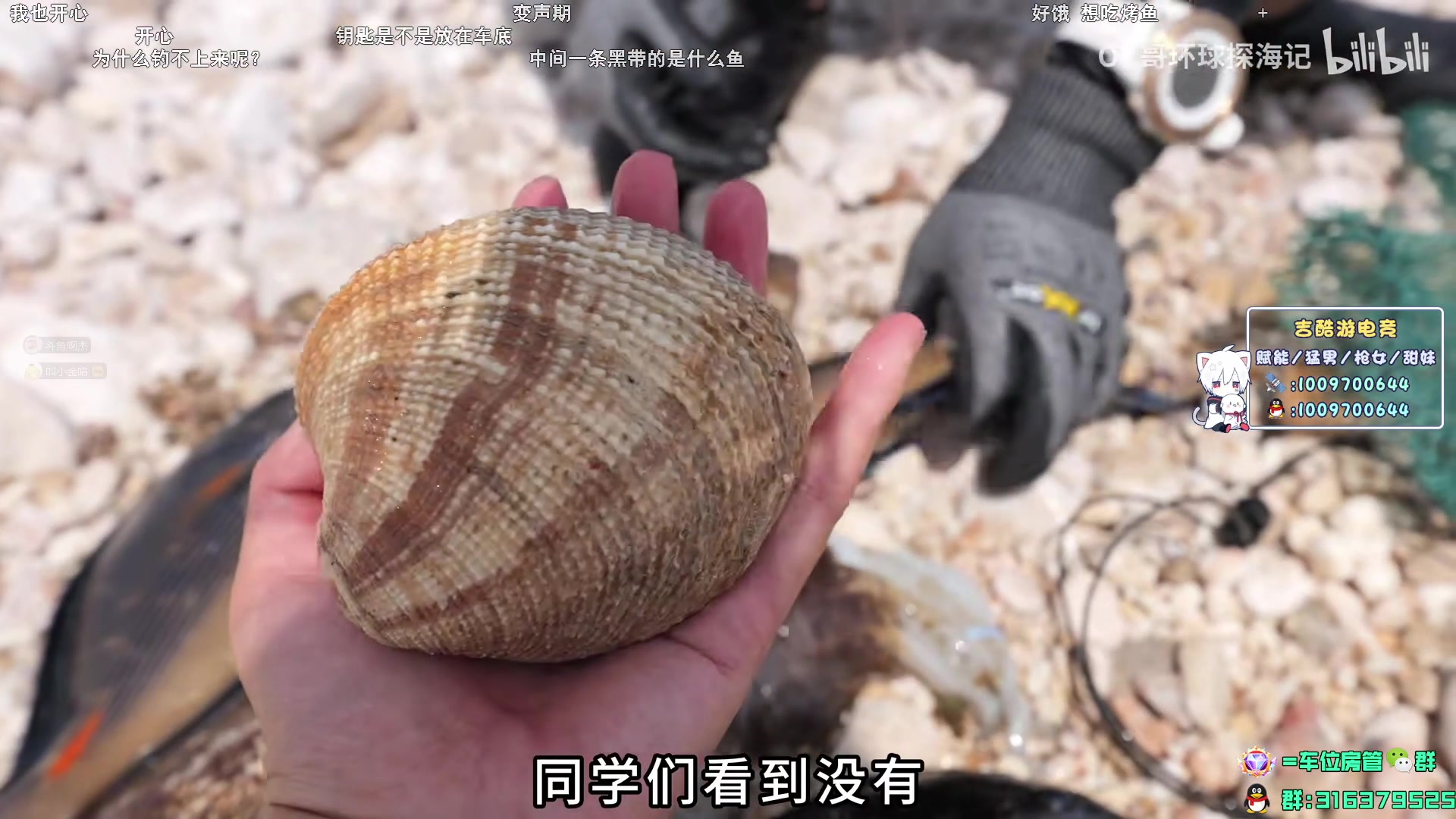 【2024-02-02 15点场】瓦罗兰特啊杰：【啊杰】钻粉接定级和上分！！！
