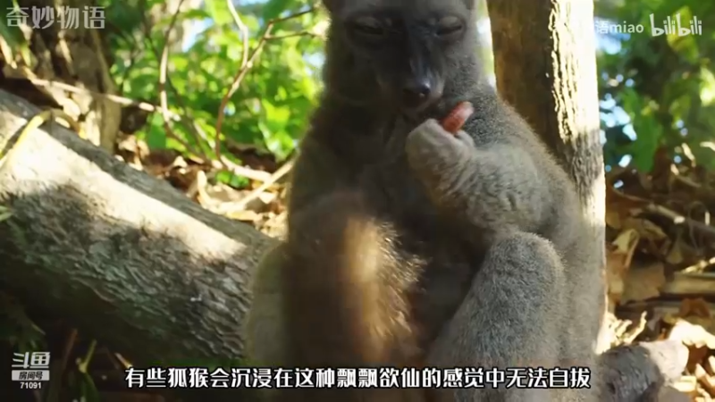 【2024-02-02 19点场】狼牙山凯哥：你听过铛铛铛么？