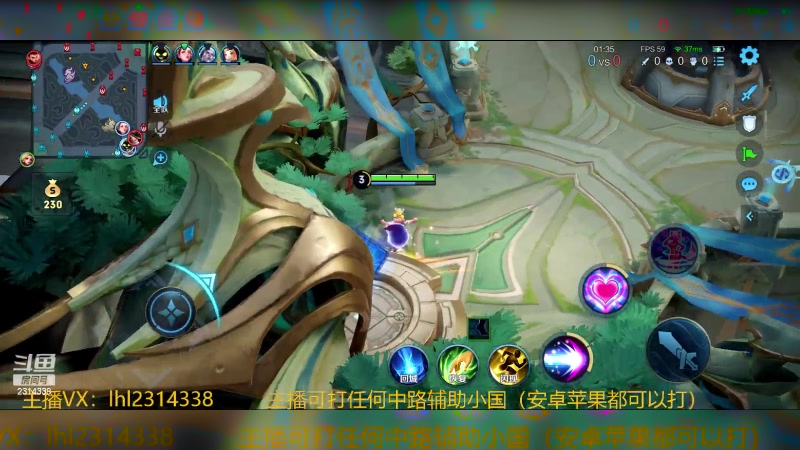 【2024-02-03 14点场】国服老狐狸：国服妲己：王者段位教学