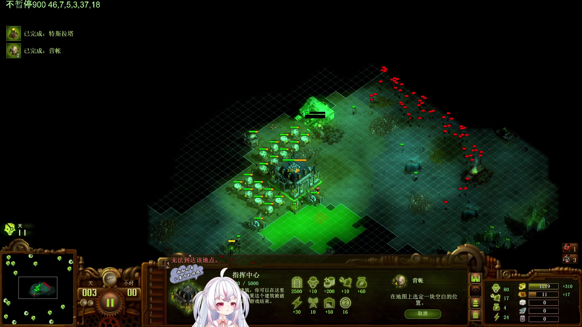 【2024-02-03 08点场】小猪哼x：今天不知道玩什么，6点打僵尸嘿嘿