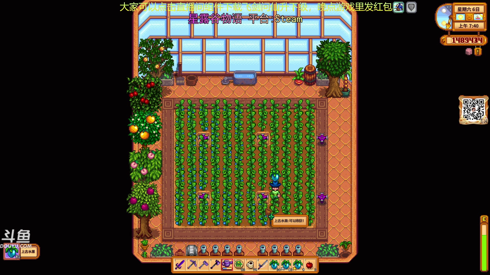 【2024-02-04 18点场】荣耀洋洋：【洋洋】小众，独立，单机游戏！