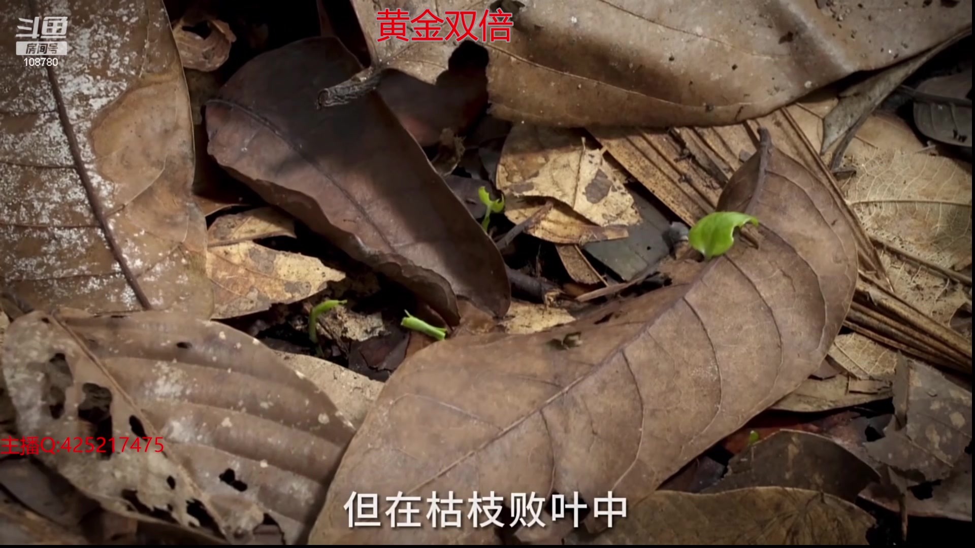 【2024-02-04 07点场】兮饭锐雯：无限火力の神