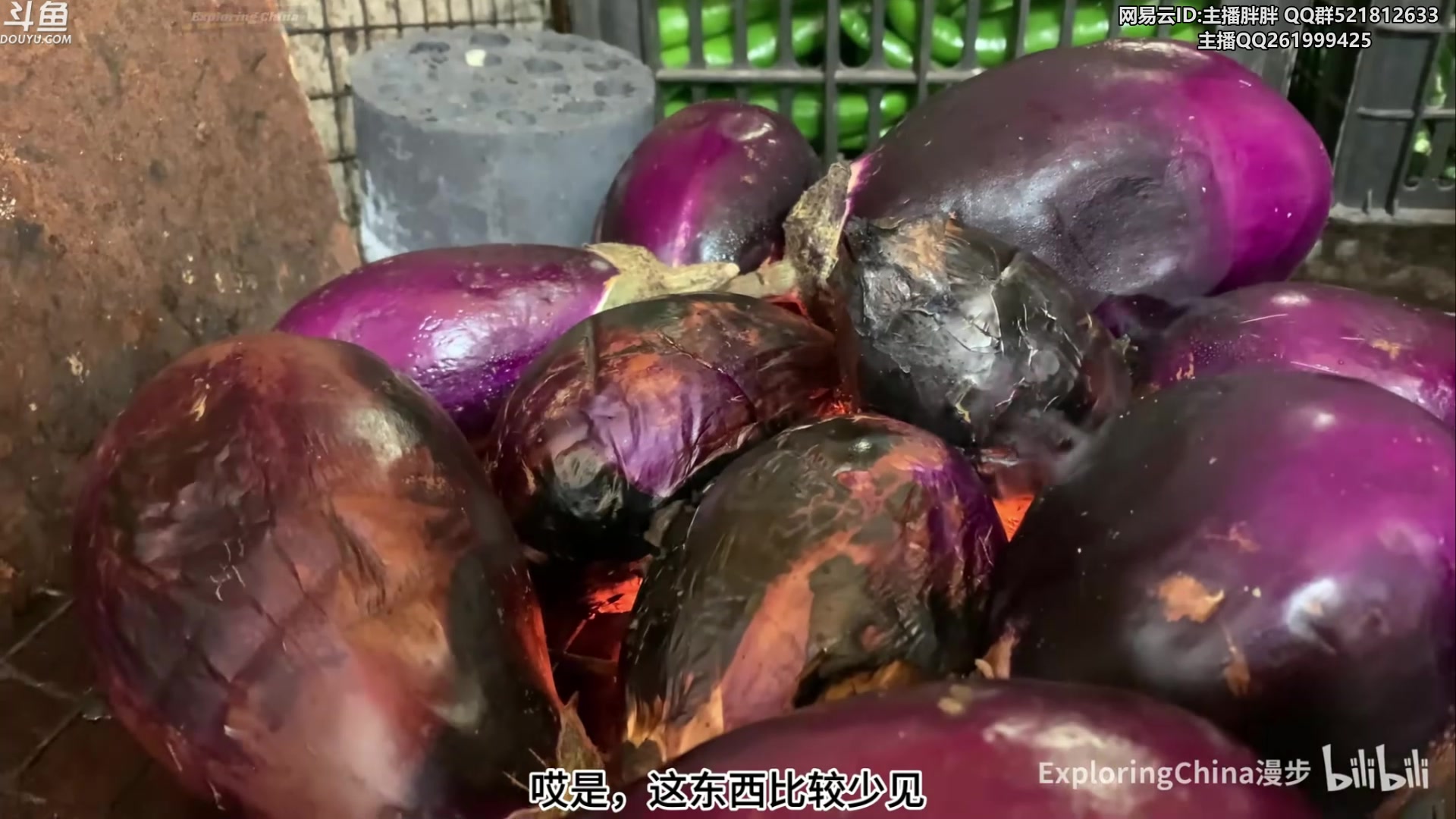 【2024-02-05 05点场】胖胖灬：胖胖OB：JD WB强啊，BLG TES